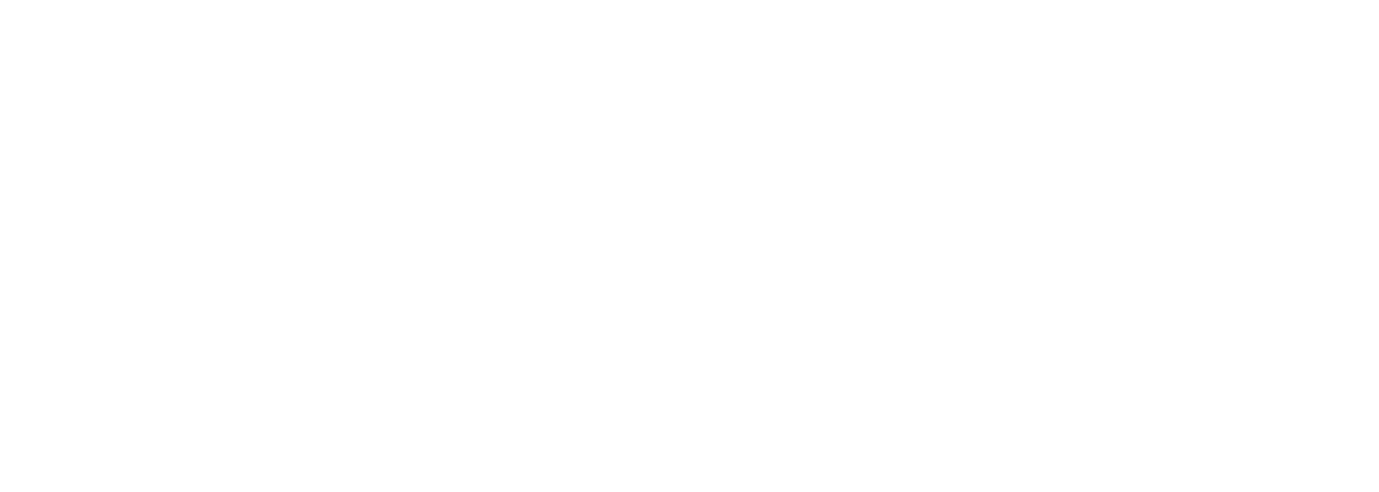 VEXO Entertainment